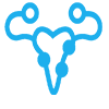 Fibroids