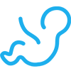 Recurrent Pregnancy Loss